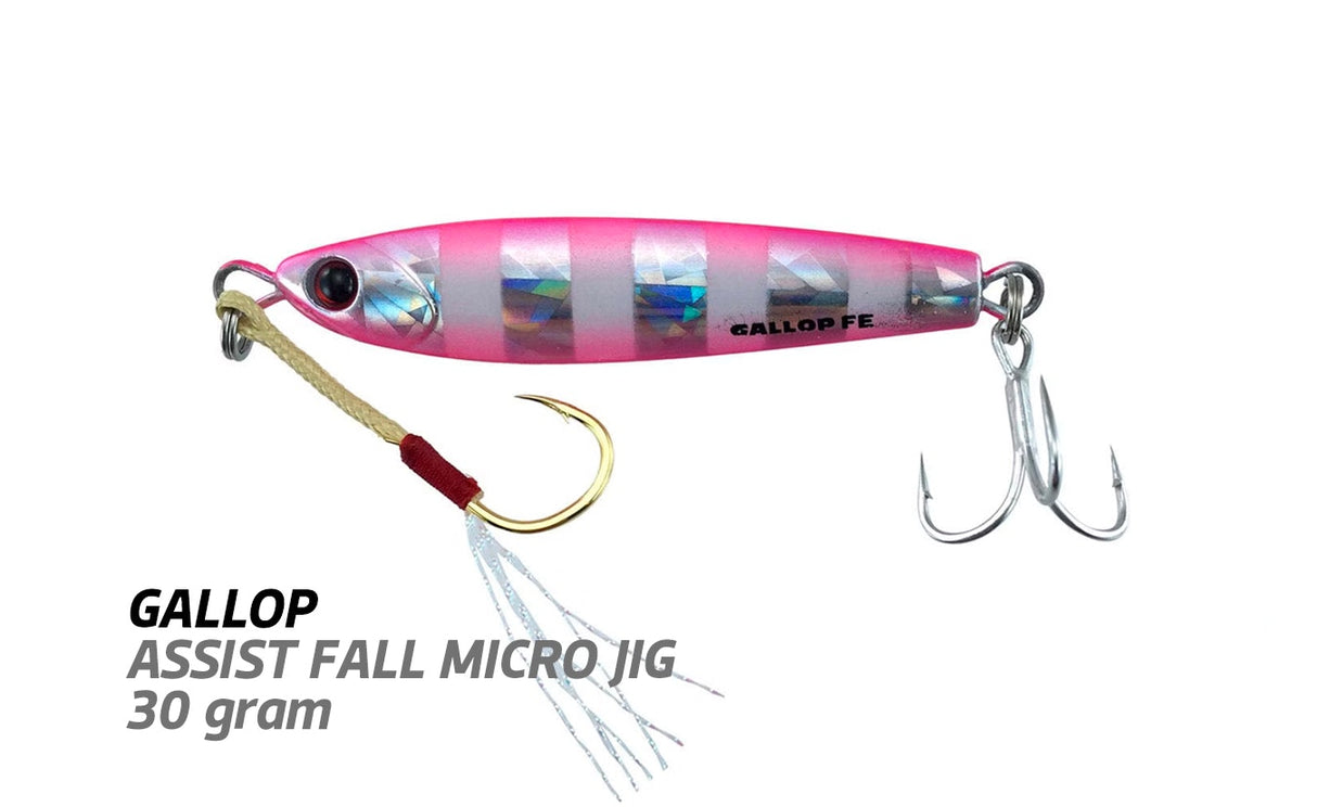 Jackson Gallop Assist Fall Edition Micro Jigs