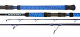 Daiwa Saltist WN Spin Fishing Rods