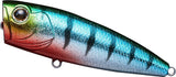 Daiwa Steez Popper 70F Lure