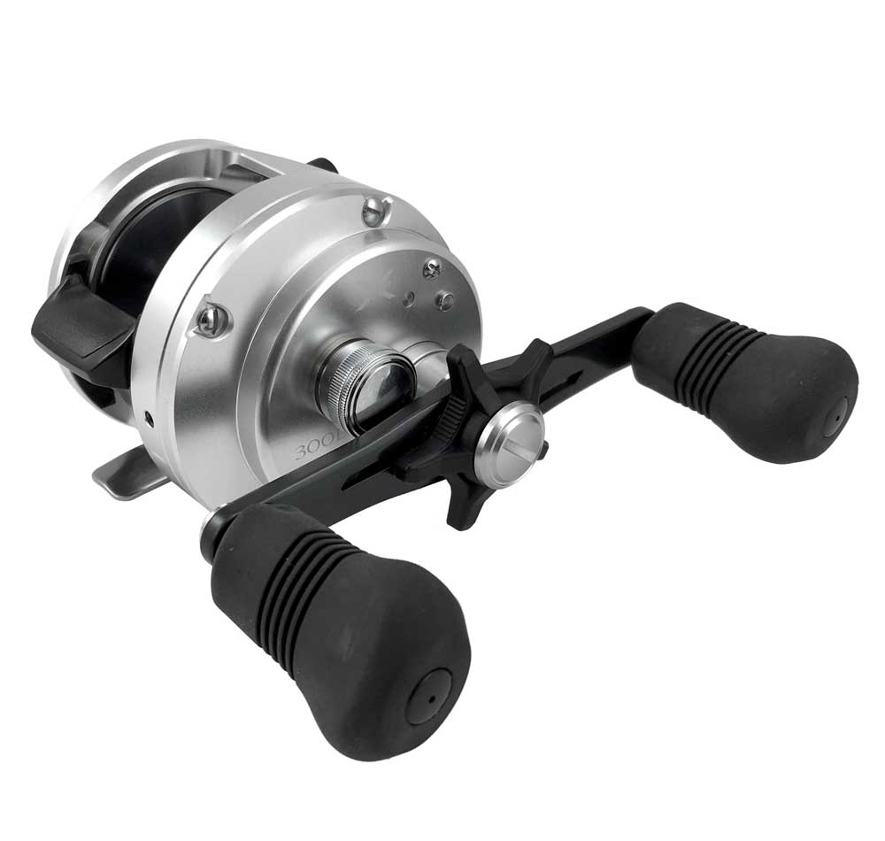 Shimano Calcutta D Reel