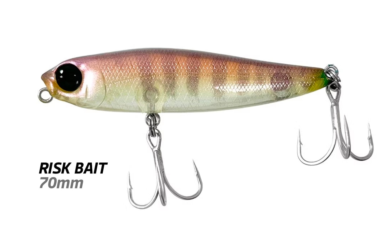 Jackson Risk Bait 70mm Lures