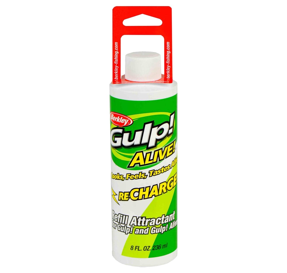 Berkely Gulp Alive Recharge Juice 8oz (236ml)