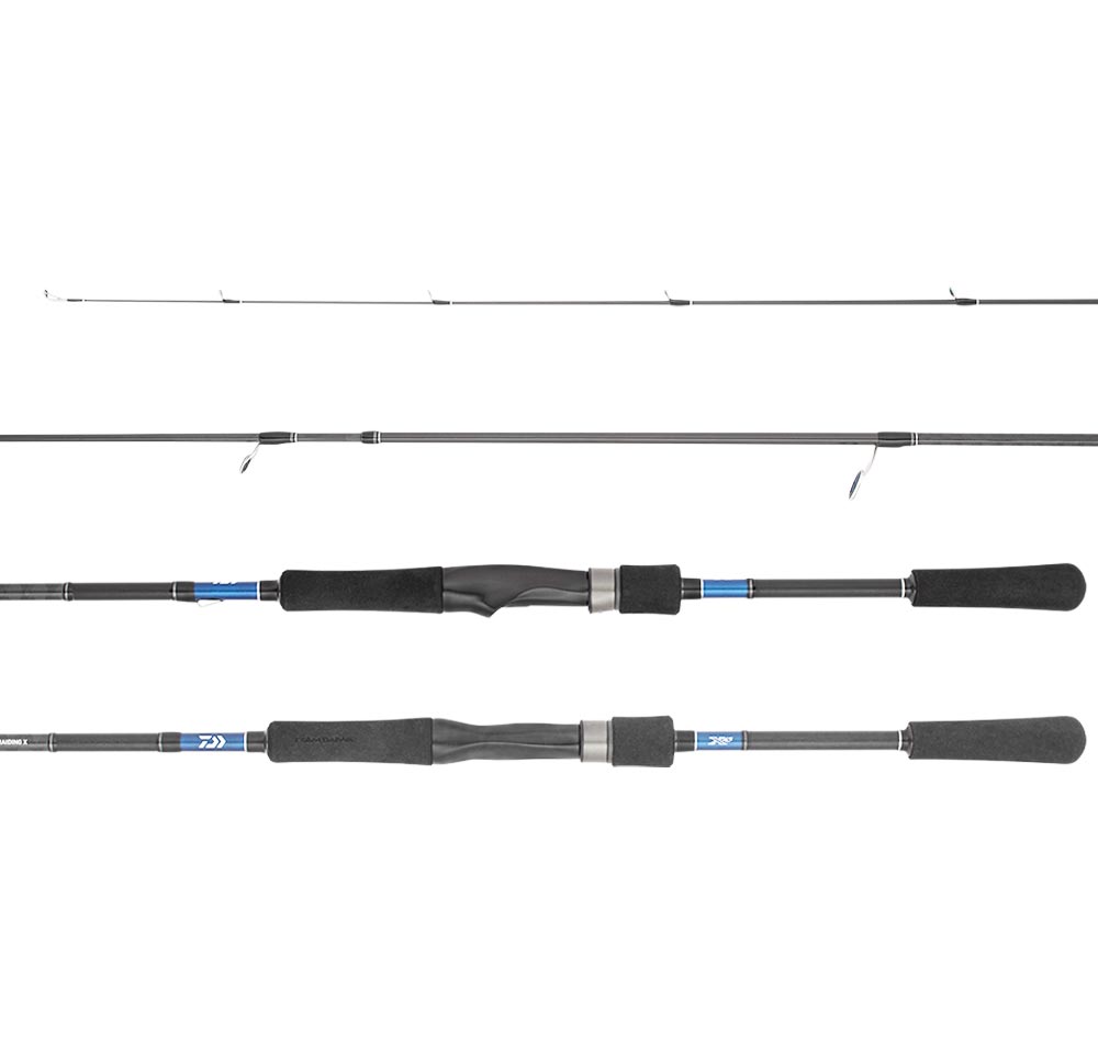 Daiwa 21 Tierra Rods