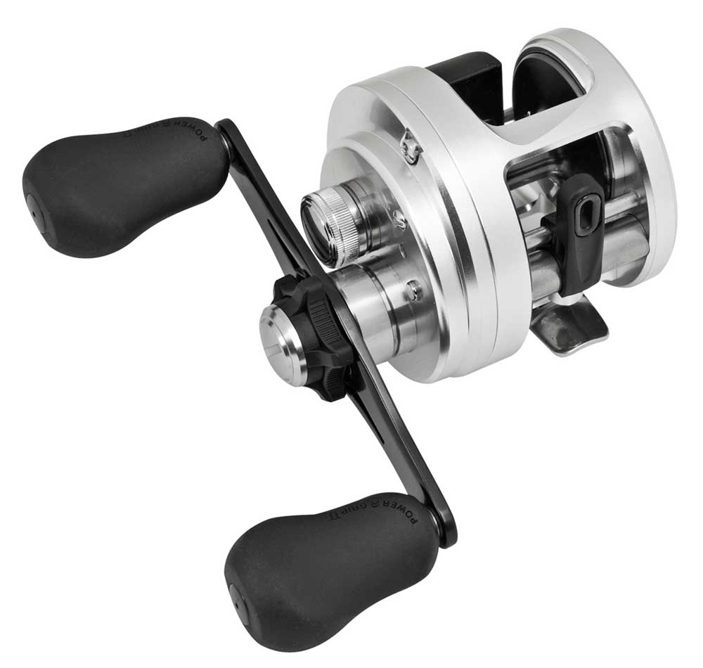 Shimano Calcutta D Reel