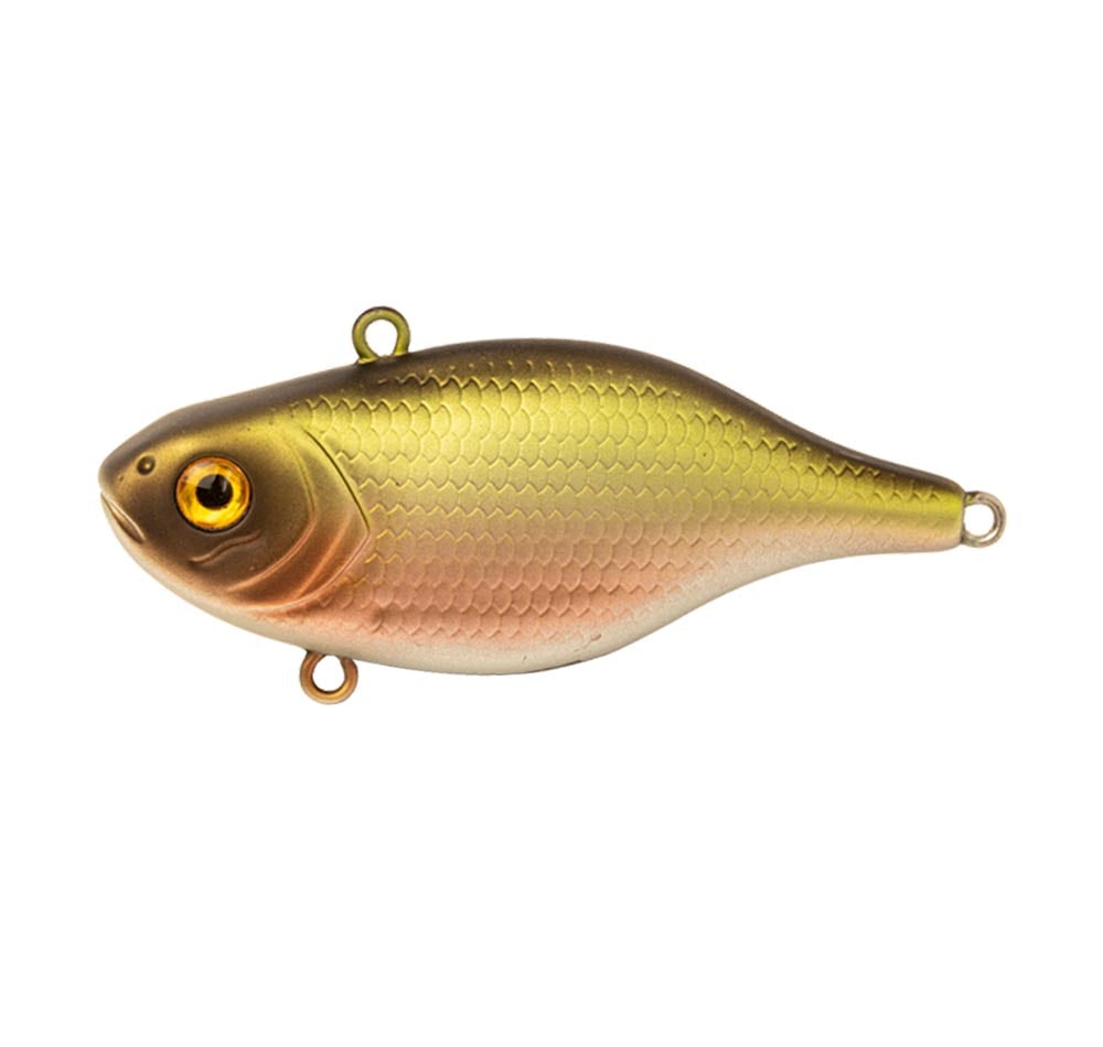 Emerald Shiner / 60mm