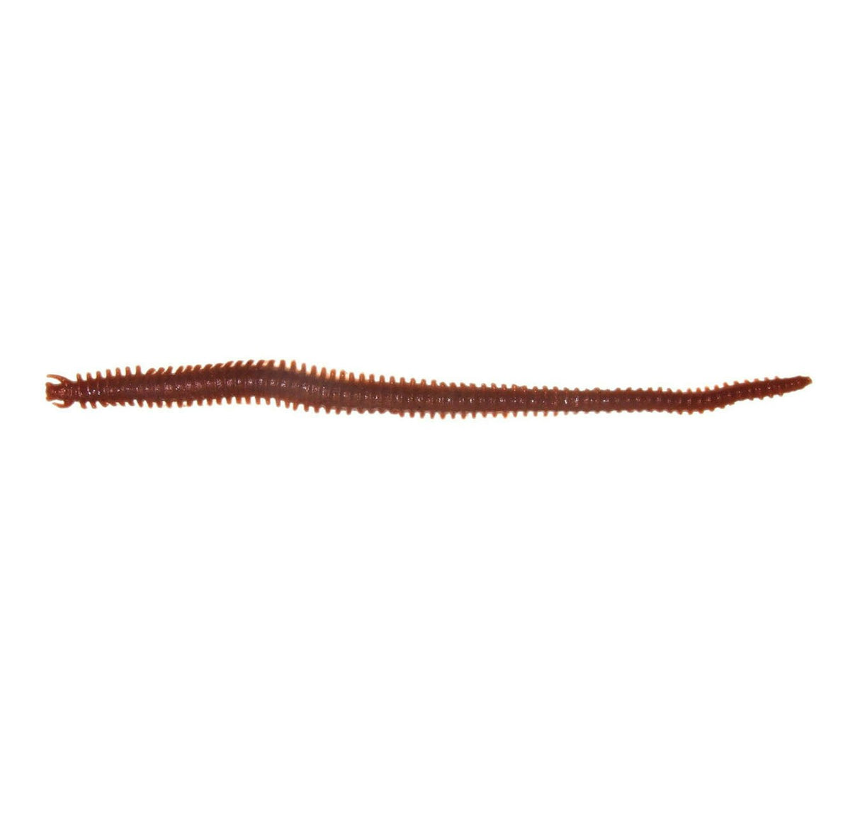 Berkley Gulp Sandworm 6" Soft Plastics