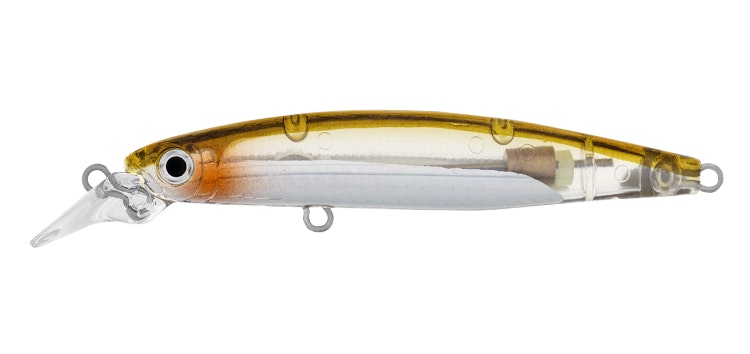 Daiwa Infeet Sazanami 60SP Lure