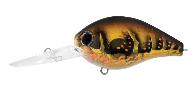 Brown Craw / 56mm