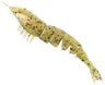 Z-Man Ez Shrimpz Unrigged 3.5" 4pk