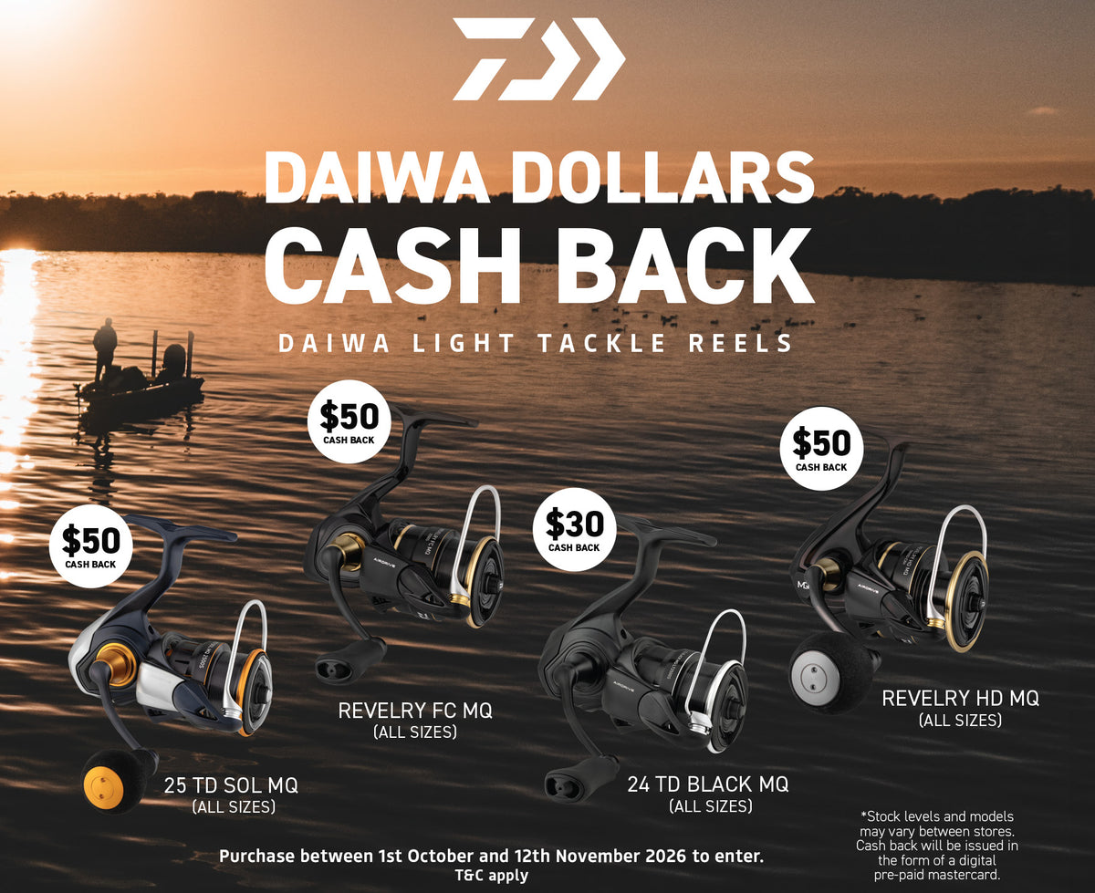 Daiwa 25 TD Sol MQ