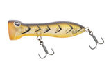 Nomad Design Chug Norris 50 Popper - Ayu Shrimp