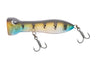 Nomad Design Chug Norris 50 Popper - Blue Gill Ayu