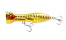 Nomad Design Chug Norris 95 Popper - Gold Glow