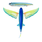 Nomad Design Slipstream 140 Flying Fish - Ahi Ghost