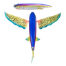 Nomad Design Slipstream 140 Flying Fish - Sun Spot