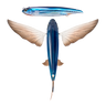 Nomad Design Slipstream 200 Flying Fish - Oceanic
