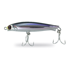 Hard Body And Metal Lures