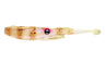 Nomad Design Jerksquid 7"Jerkshad - 3 Pack - Live Ops - Bone Tiger