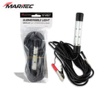 Submersible LED Light