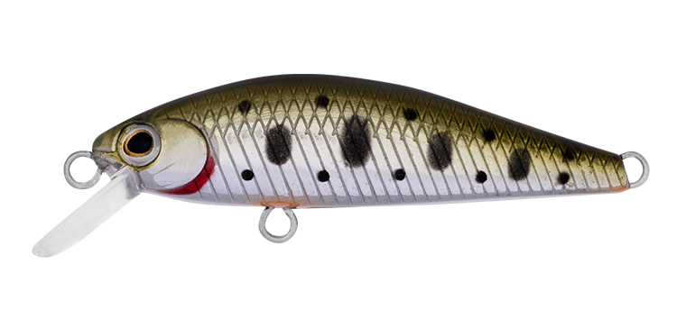 SilverCreek DR MINNOW II 42S