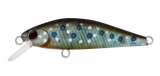 SilverCreek DR MINNOW II 42S