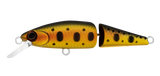SilverCreek DR MINNOW JOINT II 50S