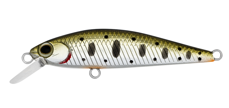 SilverCreek DR MINNOW II 50S