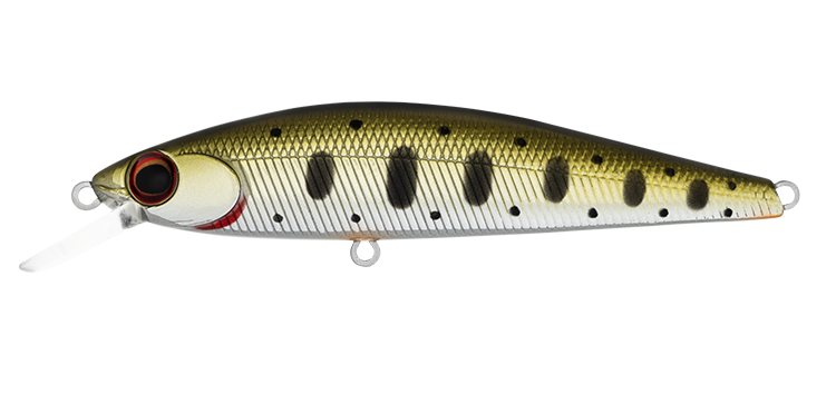 SilverCreek DR MINNOW II 70F