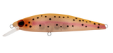 SilverCreek DR MINNOW II 70F