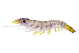 Nomad Design Sumo Shrimp Unrigged 4" - 2 Pack - Live Ops - Natural Tiger