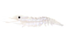 Nomad Design Sumo Shrimp Unrigged 5" - 2 pack - Live Ops - White Glow