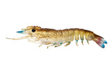 Nomad Design Sumo Shrimp Unrigged 6.5" - 2 Pack - Live Ops - Speckled Stalker