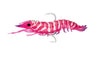 Nomad Design Sumo Shrimp Rigged 6.5" - Live Ops - Hyper Pink