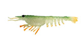 Nomad Design Switcher Shrimp 2.3" - 6 Pack - Live Ops - Green Ghost Stalker