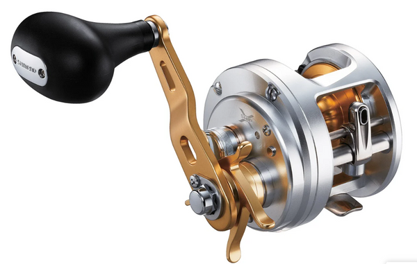 Shimano Calcutta 800F Reel – Tackle World Shimano Calcutta 800F Reel – Tackle World