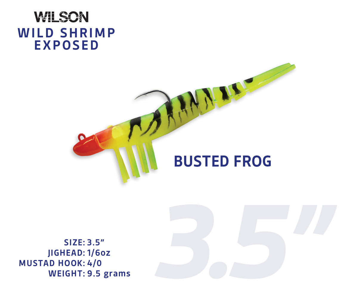 Wild Shrimp Exposed