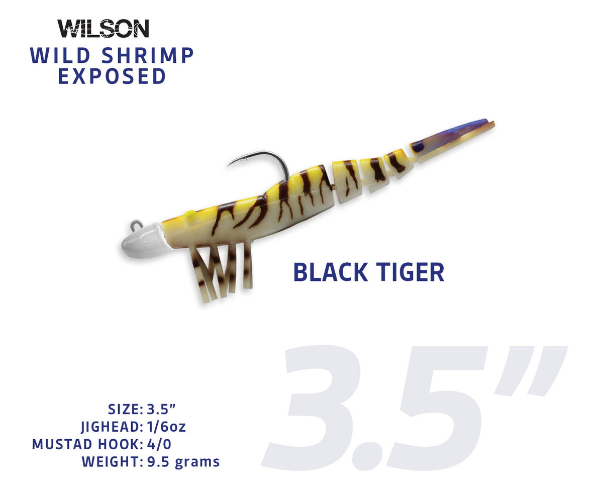 Wild Shrimp Exposed