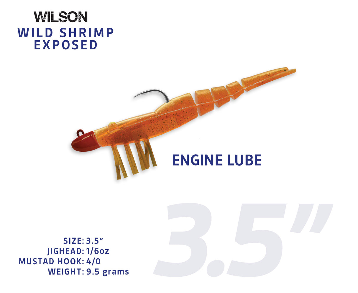 Wild Shrimp Exposed