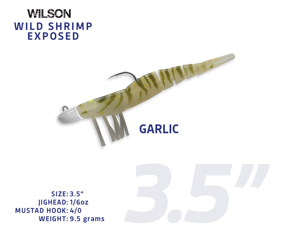 Wild Shrimp Exposed
