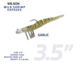 Wild Shrimp Exposed