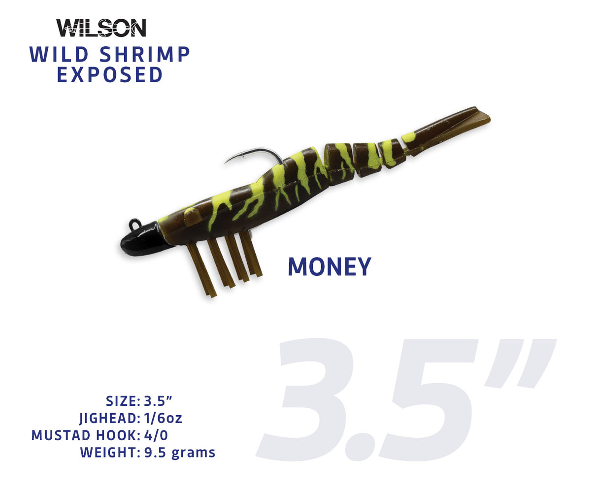Wild Shrimp Exposed