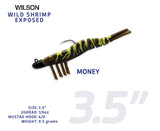 Wild Shrimp Exposed