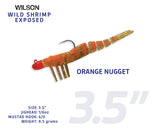 Wild Shrimp Exposed