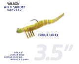 Wild Shrimp Exposed