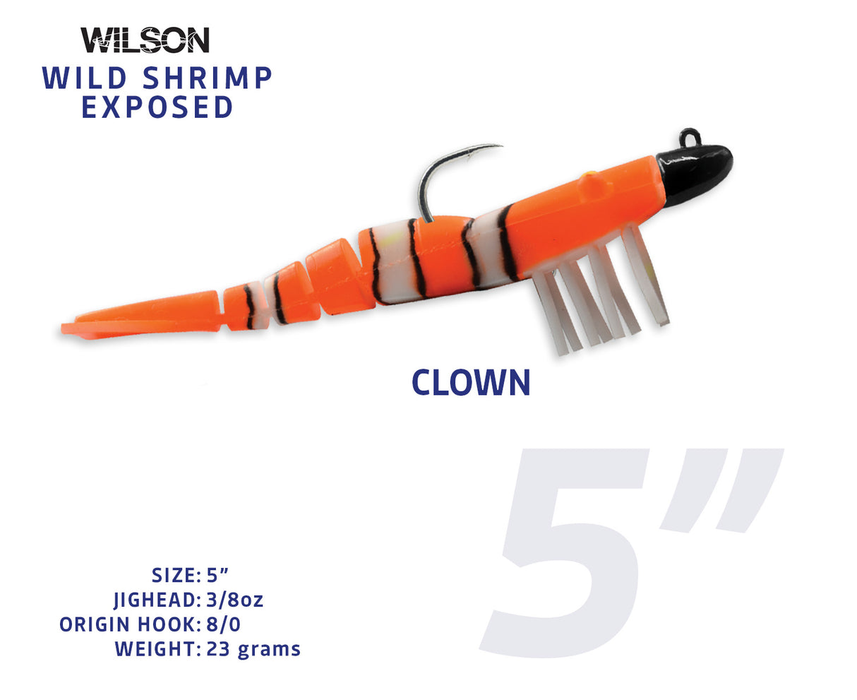Wild Shrimp Exposed