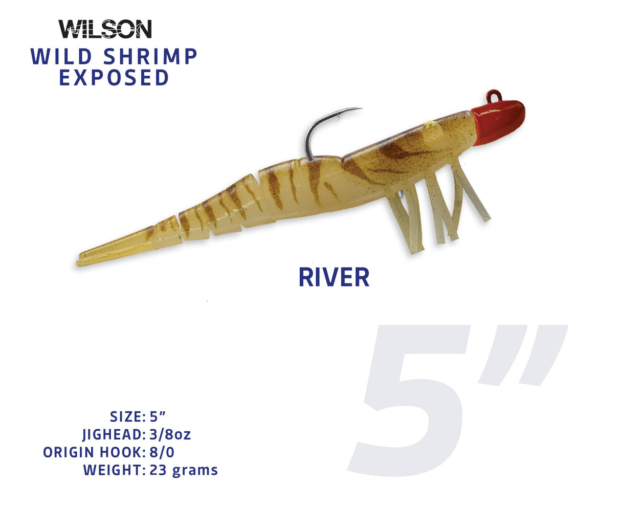 Wild Shrimp Exposed