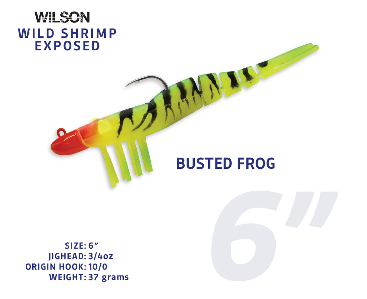 Wild Shrimp Exposed