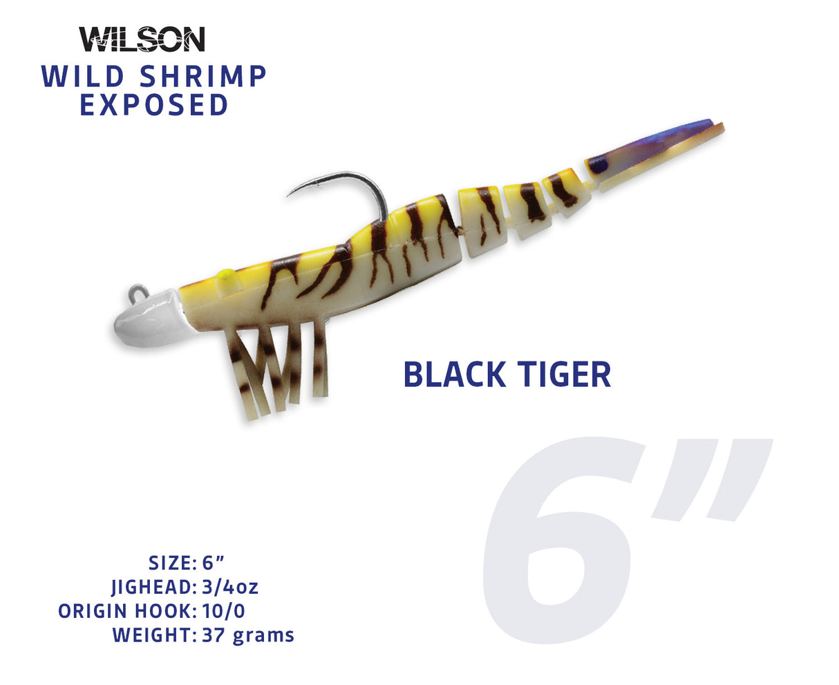 Wild Shrimp Exposed