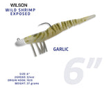 Wild Shrimp Exposed