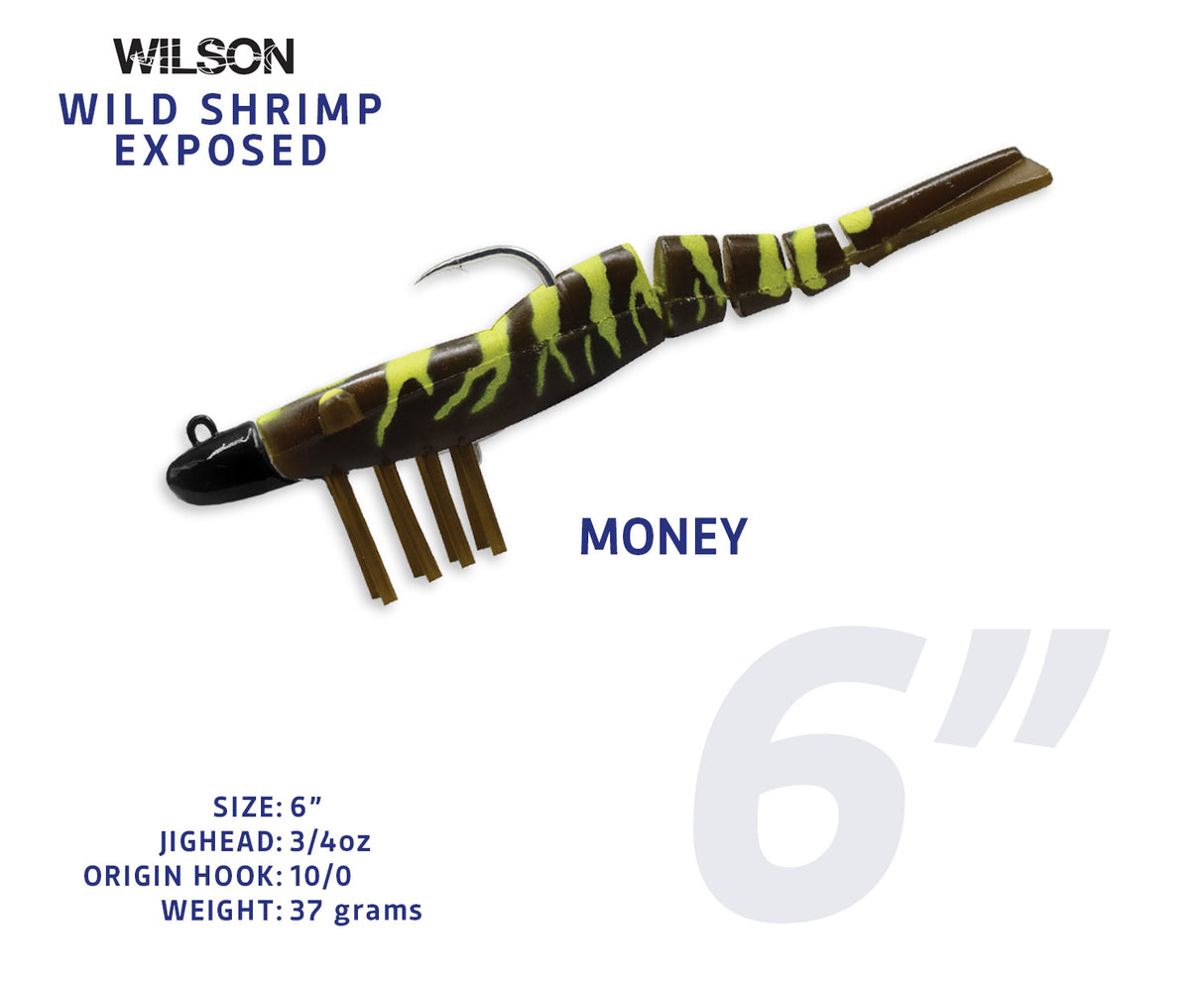 Wild Shrimp Exposed